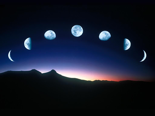 Image result for luminarias celestiales